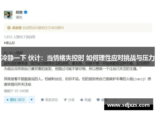 冷静一下 伙计：当情绪失控时 如何理性应对挑战与压力