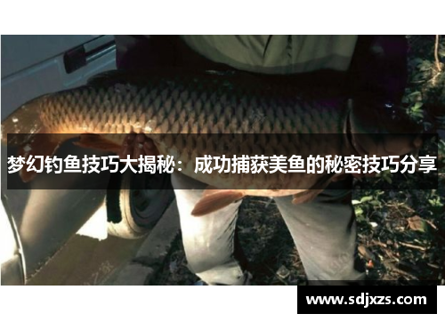 梦幻钓鱼技巧大揭秘：成功捕获美鱼的秘密技巧分享